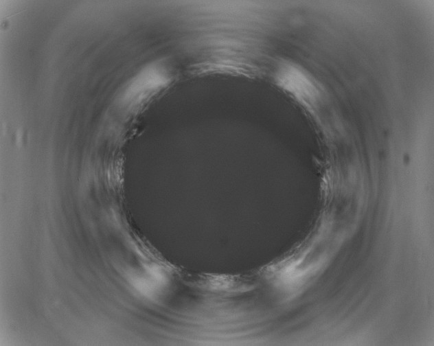X0000081620382200702121646