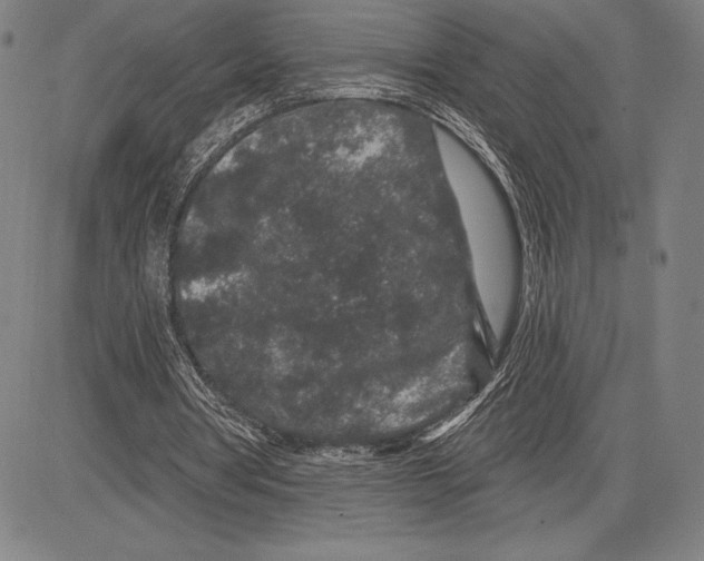 X0000081620386200702121645