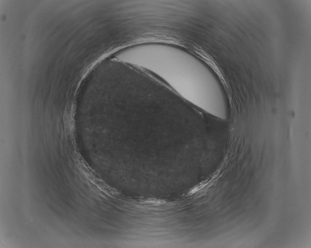 X0000081620387200702121645