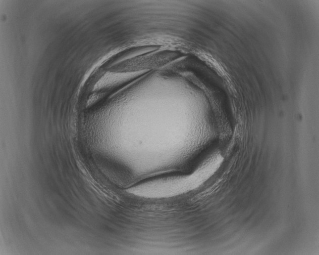 X0000081620392200702121645
