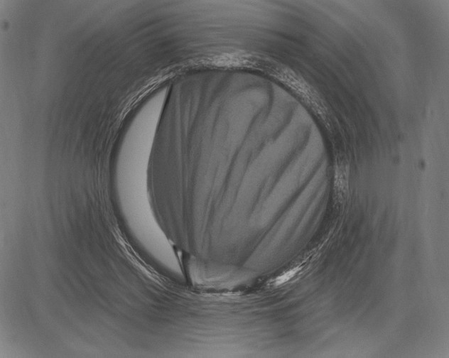 X0000081620397200702121645