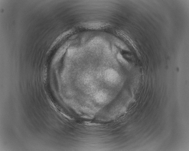 X0000081620400200702121645