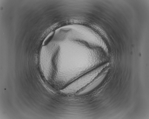 X0000081620401200702121645