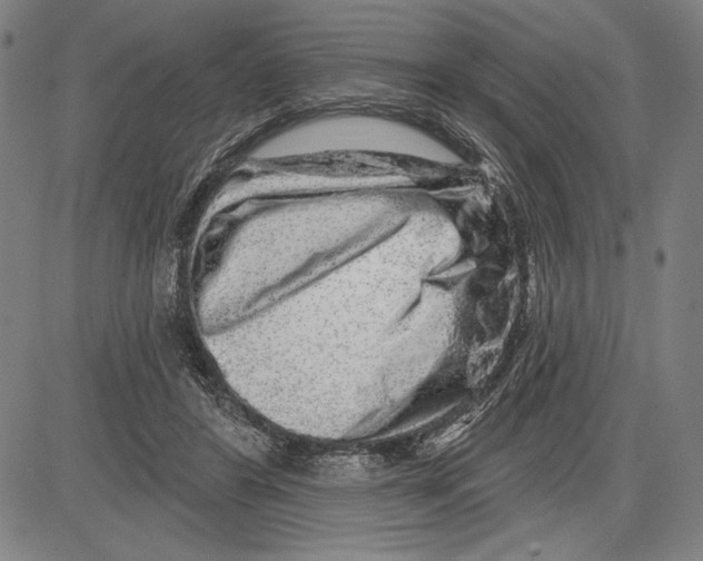 X0000081620404200702121645