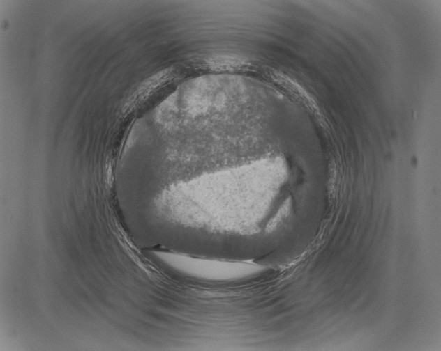 X0000081620405200702121645