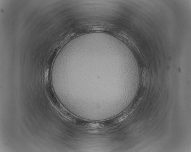 X0000081620406200702121645