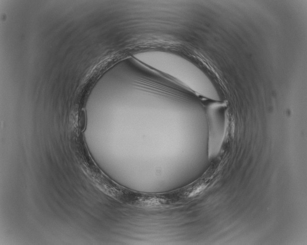 X0000081620407200702121645