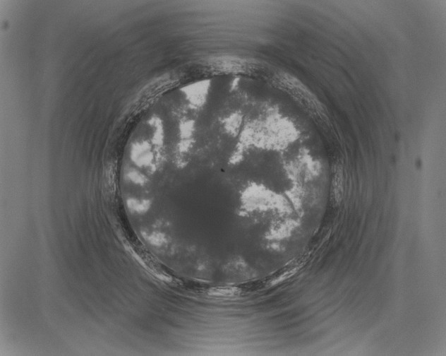X0000081620410200702121645