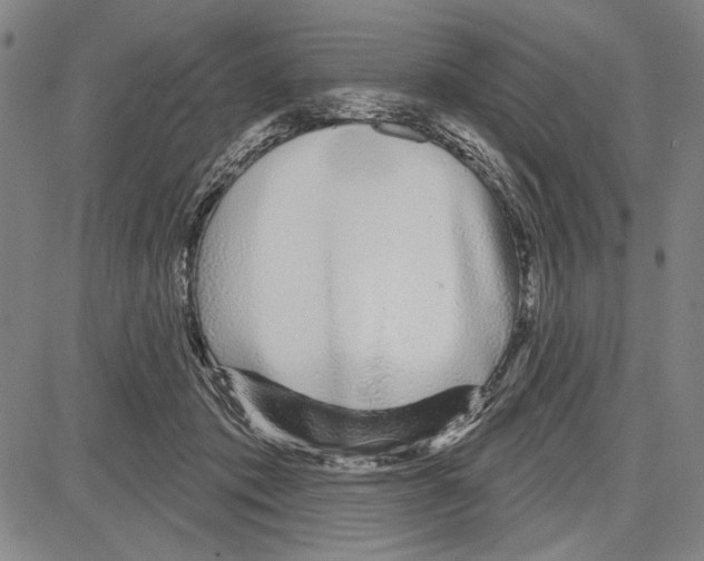 X0000081620413200702121644