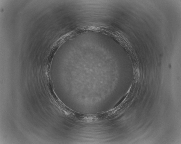 X0000081620415200702121644