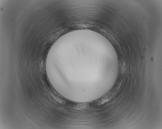 X0000081620418200702121644