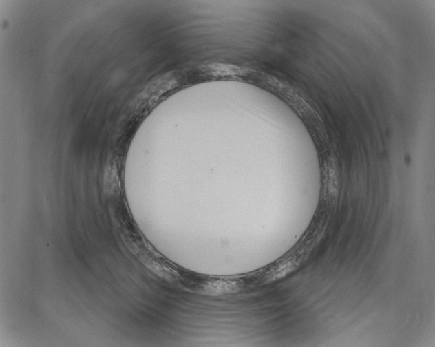 X0000081620422200702121644