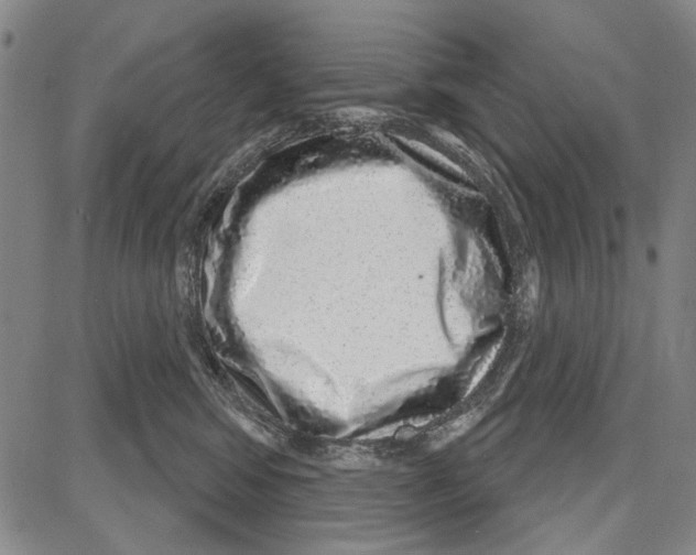 X0000081620424200702121644