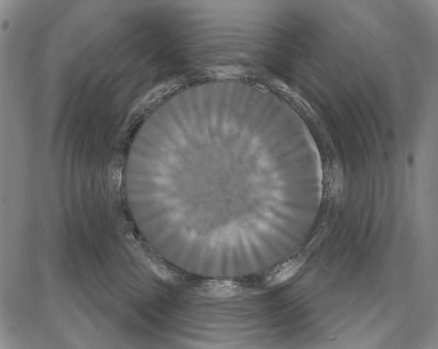 X0000081620427200702121644