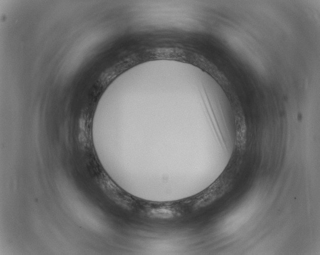 X0000081620430200702121644