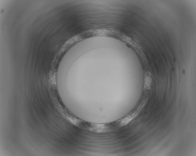 X0000081620431200702121644