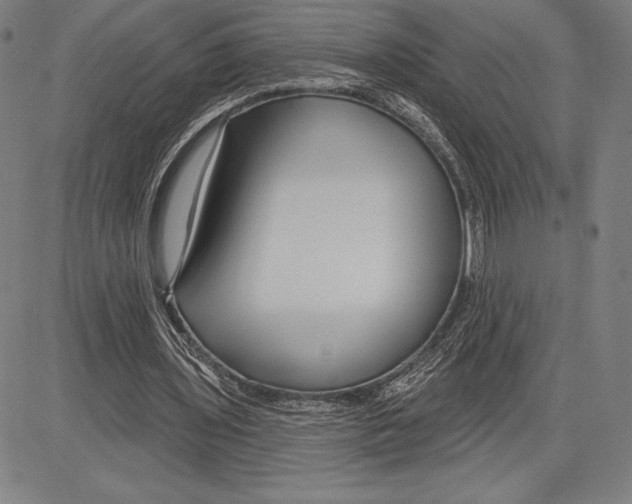 X0000081620435200702121643