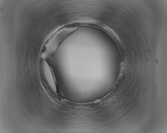 X0000081620436200702121643