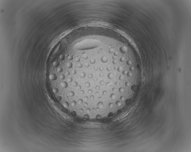 X0000081620437200702121643