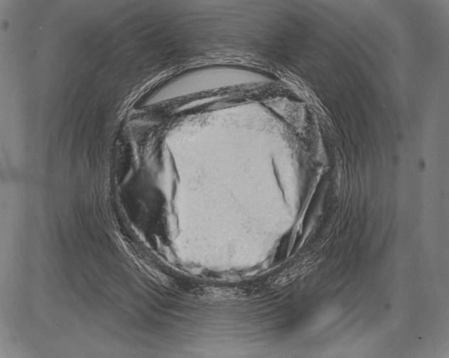 X0000081620442200702121644