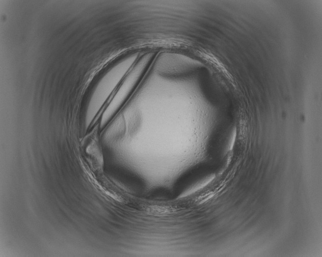 X0000081620444200702121644