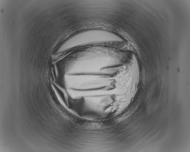 X0000081620449200702121644