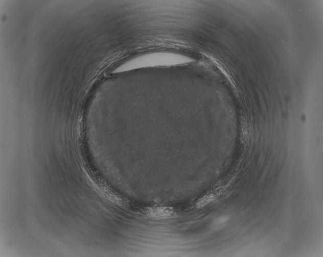 X0000081620451200702121644