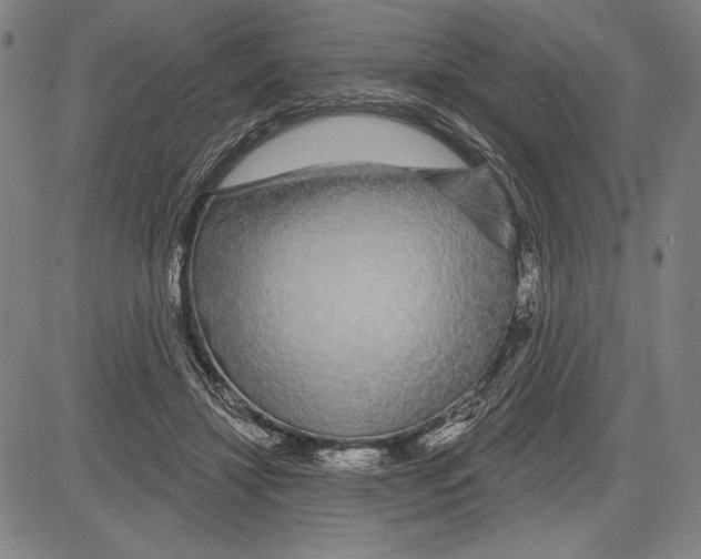 X0000081620452200702121644