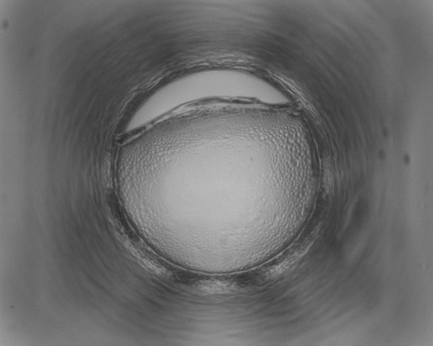 X0000081620453200702121644