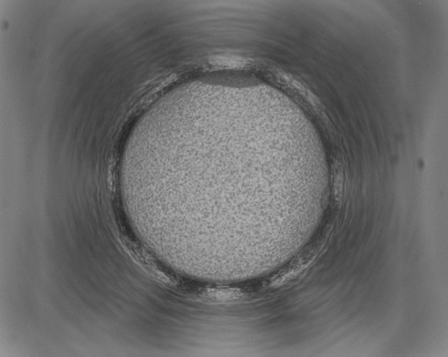 X0000081620455200702121644