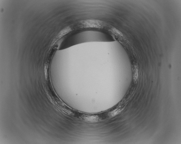 X0000081620456200702121644