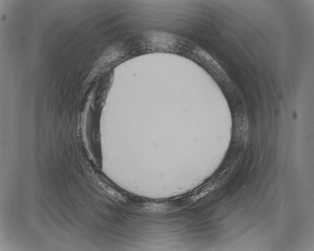 X0000081620457200702121644