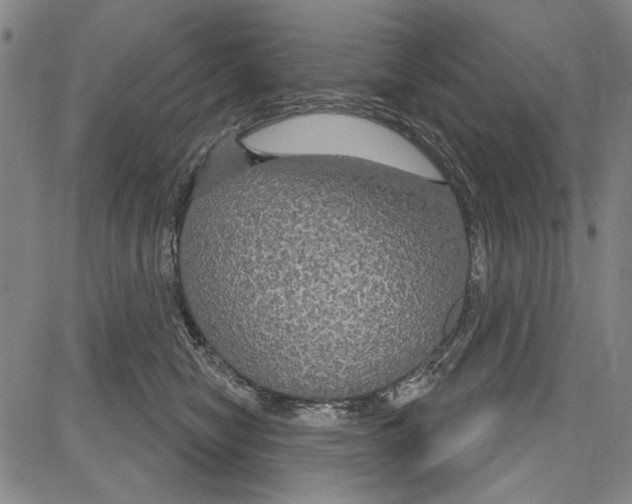 X0000081620470200702121644