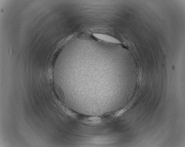 X0000081620478200702121644