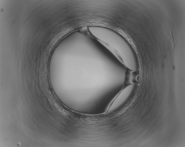 X0000081620481200702121643