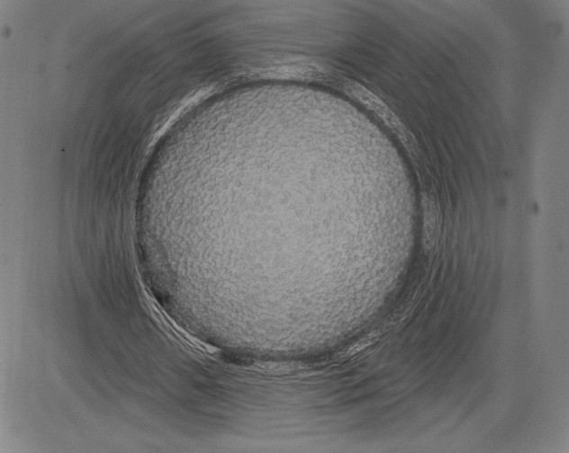X0000081620482200702121643