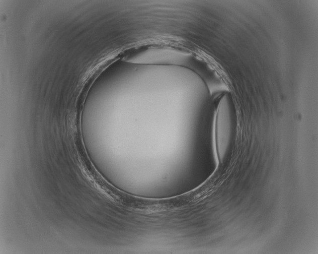 X0000081620485200702121643