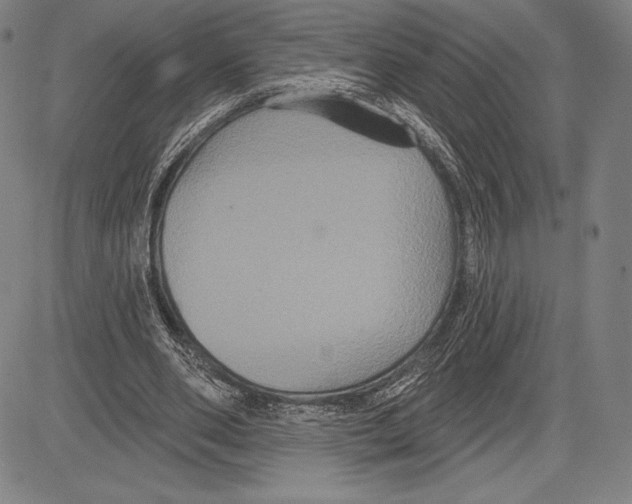 X0000081620486200702121643