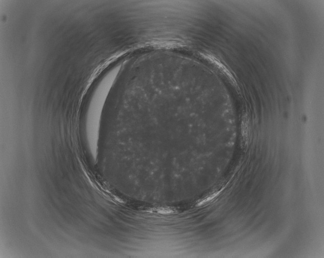 X0000081620492200702121643