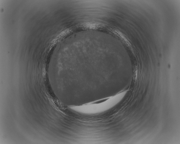 X0000081620500200702121643