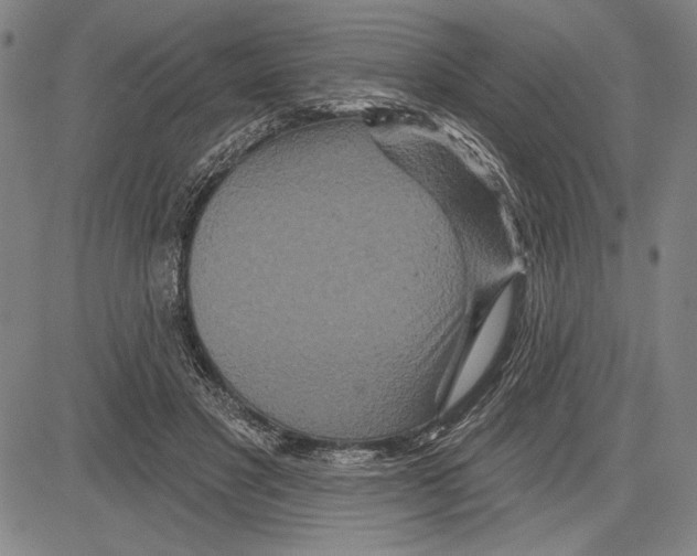 X0000081620501200702121643