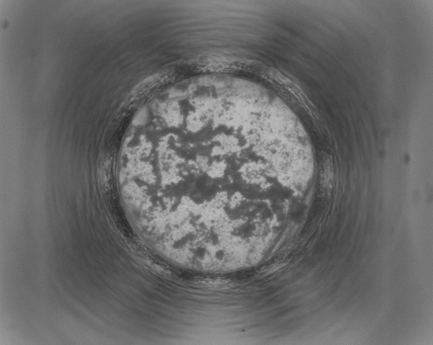 X0000081620503200702121643