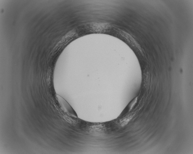 X0000081620505200702121643