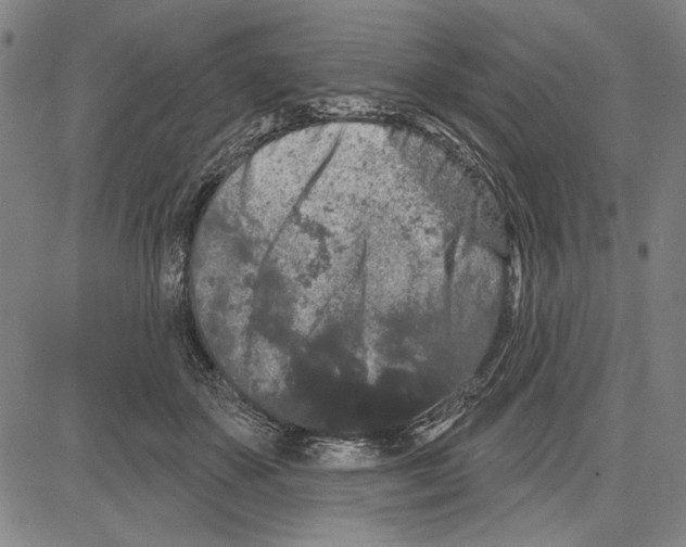 X0000081620507200702121643