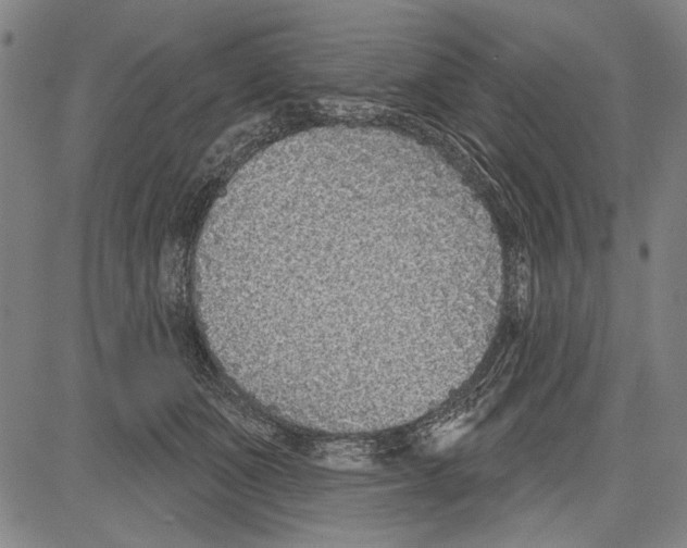X0000081620511200702121643