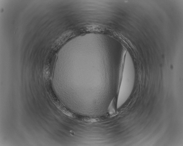 X0000081620513200702121643