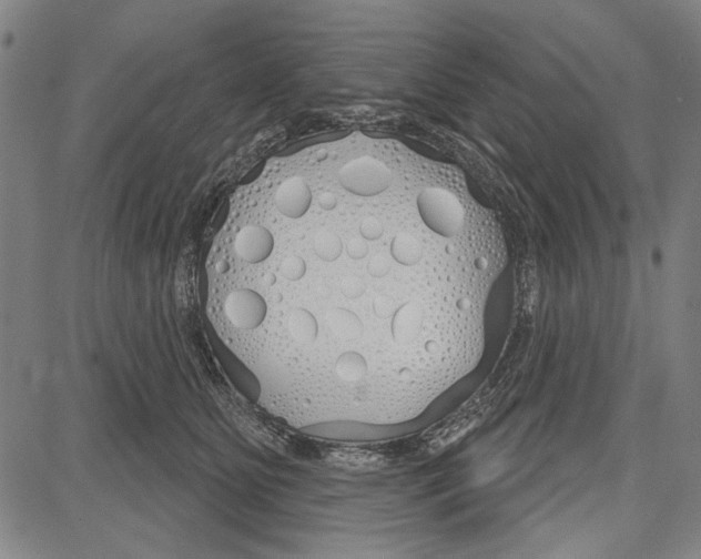 X0000081620515200702121643
