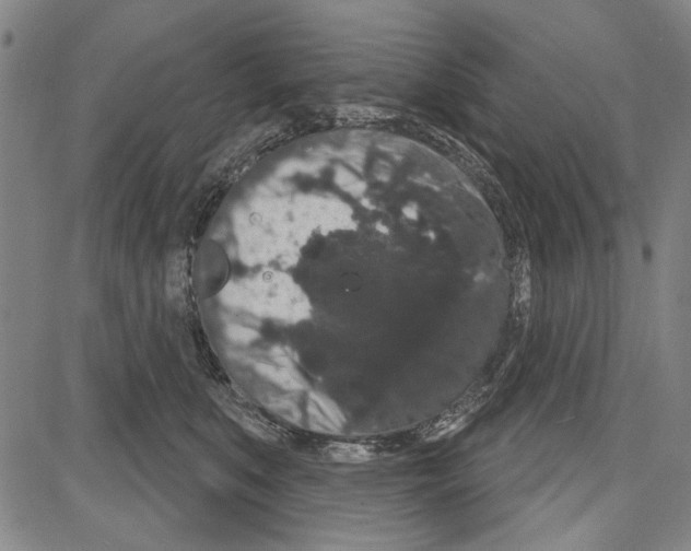 X0000081620519200702121643