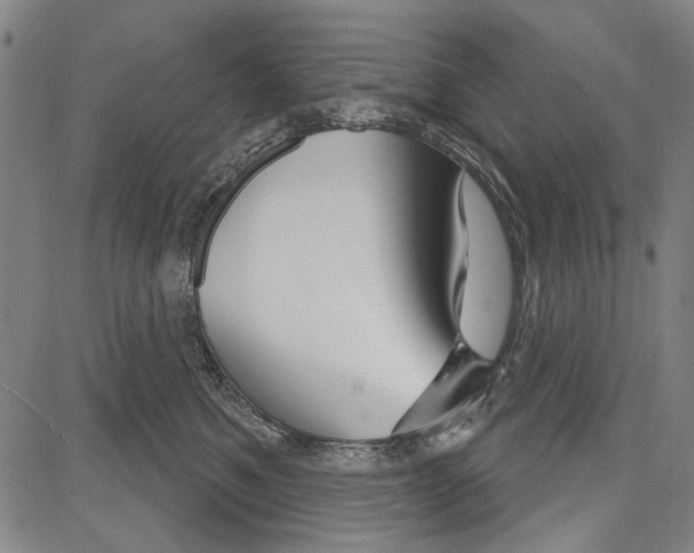 X0000081620521200702121643