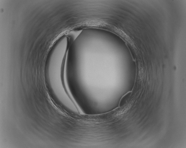 X0000081620530200702121642